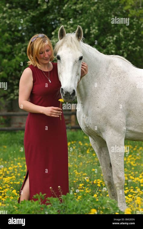 pornos mit pferd|100.000+ kostenlose Frau Mit Pferden und Frau.